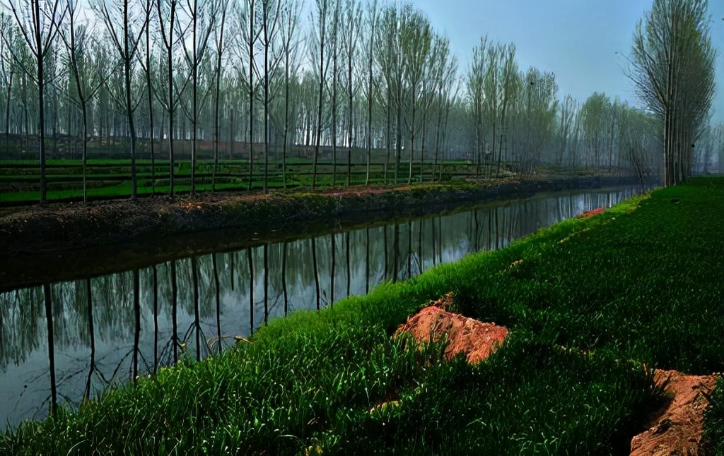 民国奇案妻子美貌丈夫贩毒,民国奇案女子杀夫案