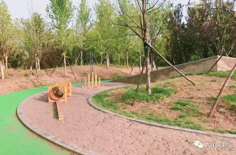 免费公园滑梯,六支沟滑滑梯公园