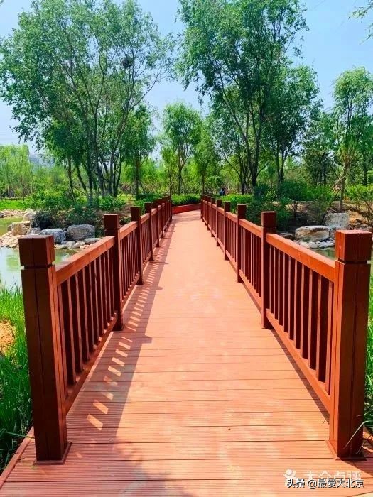 京城新增一“小江南”！免费人少