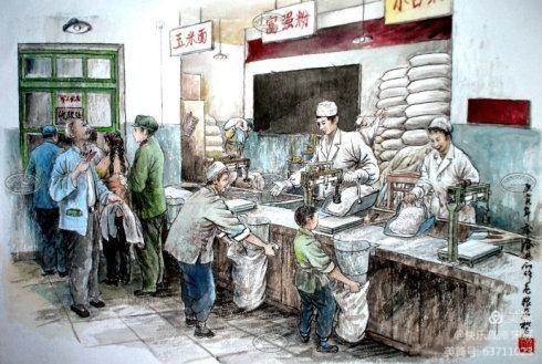 山大的故事,山大学院里树木故事