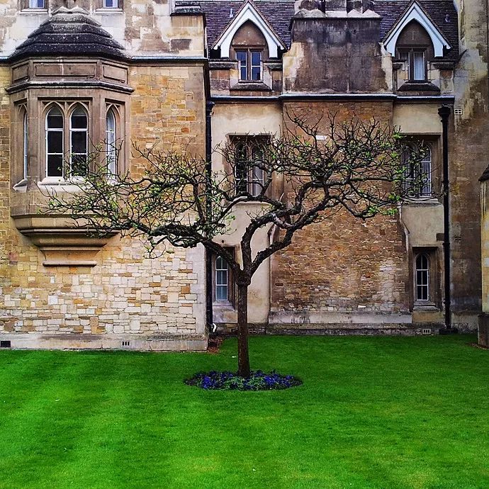 简明科学史,8：牛顿智商290？他到底有多牛？