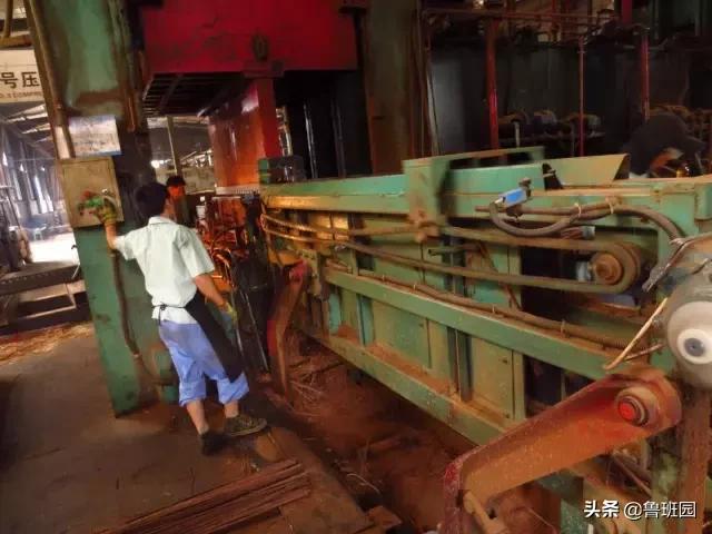 竹子怎么变异成龟甲竹,看竹子挖笋技巧