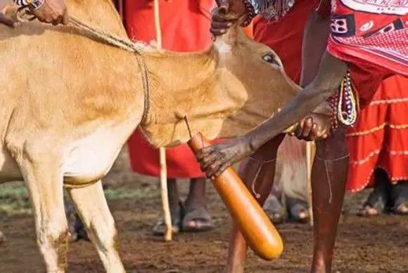 十大最残忍的部落,最原始的部落战斗