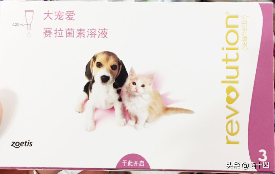 别让宠物医院榨干铲屎官的钱包——小毛病，不求人「外创篇-下」