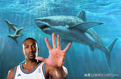 nba球星奇葩爱好,nba球员奇葩的宠物