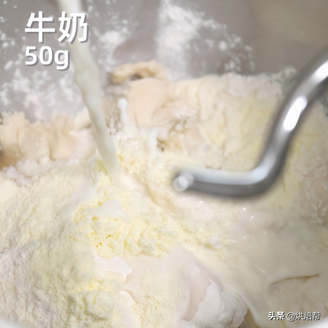 日本爆火吐司,日本生吐司中种