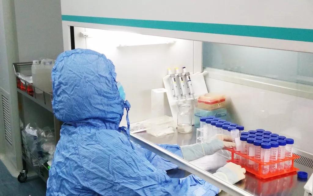 突如其来健康解码,秃如其来该如何拯救