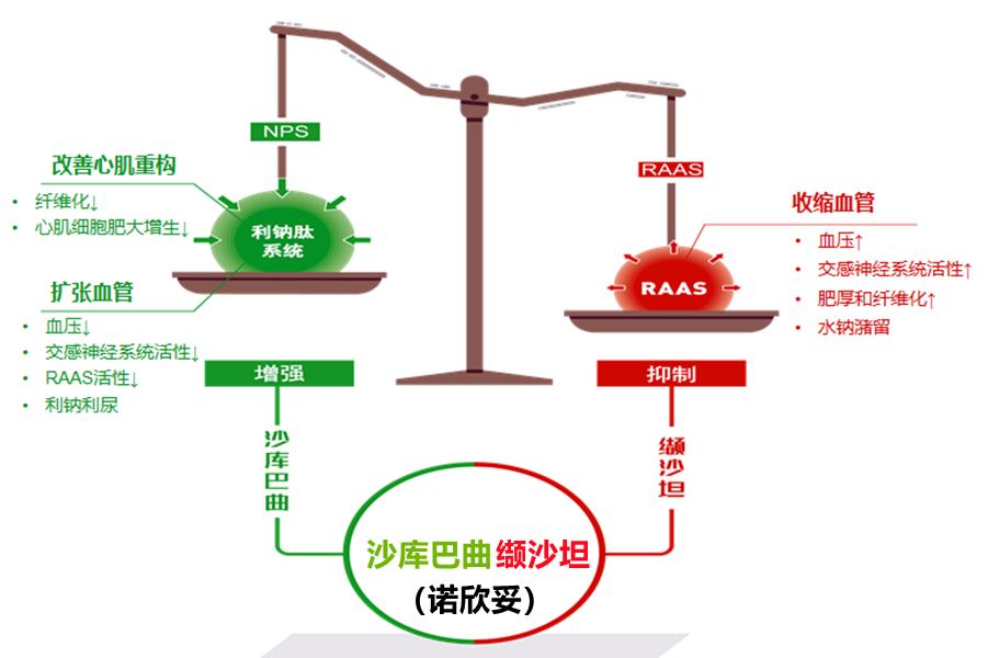 心衰金三角药用法用量,金三角心衰药