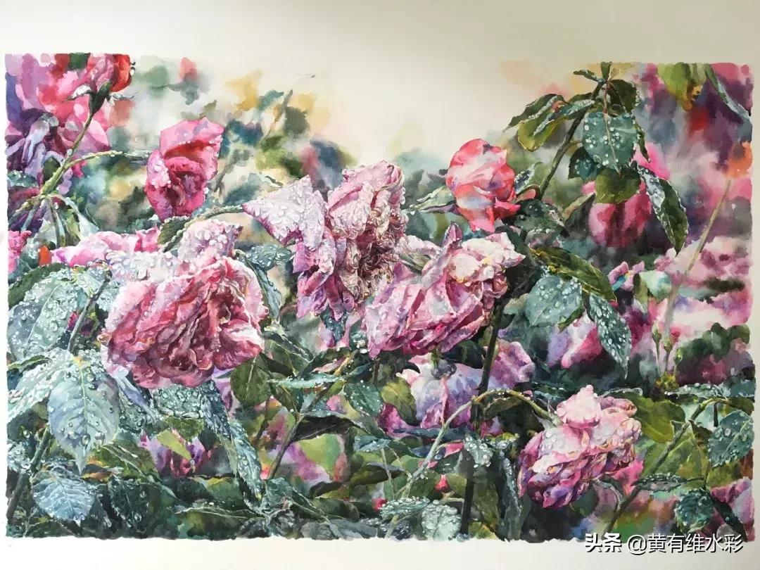 小清新水彩画玫瑰花,水彩画雨中玫瑰