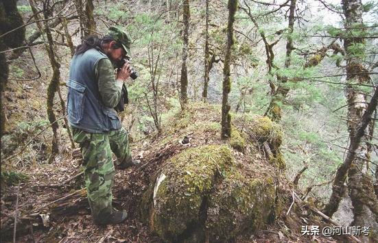 寻找野人的张金星现在如何,张金星神农架野人
