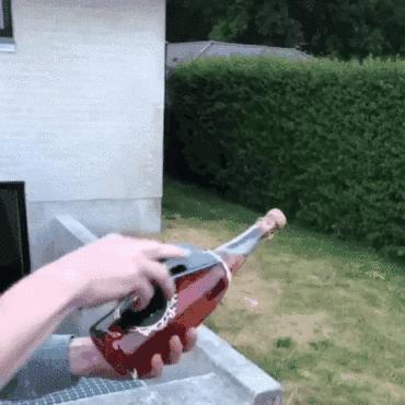 被香槟酒瓶塞打懵是一种什么体验？沙雕们纷纷给出答案