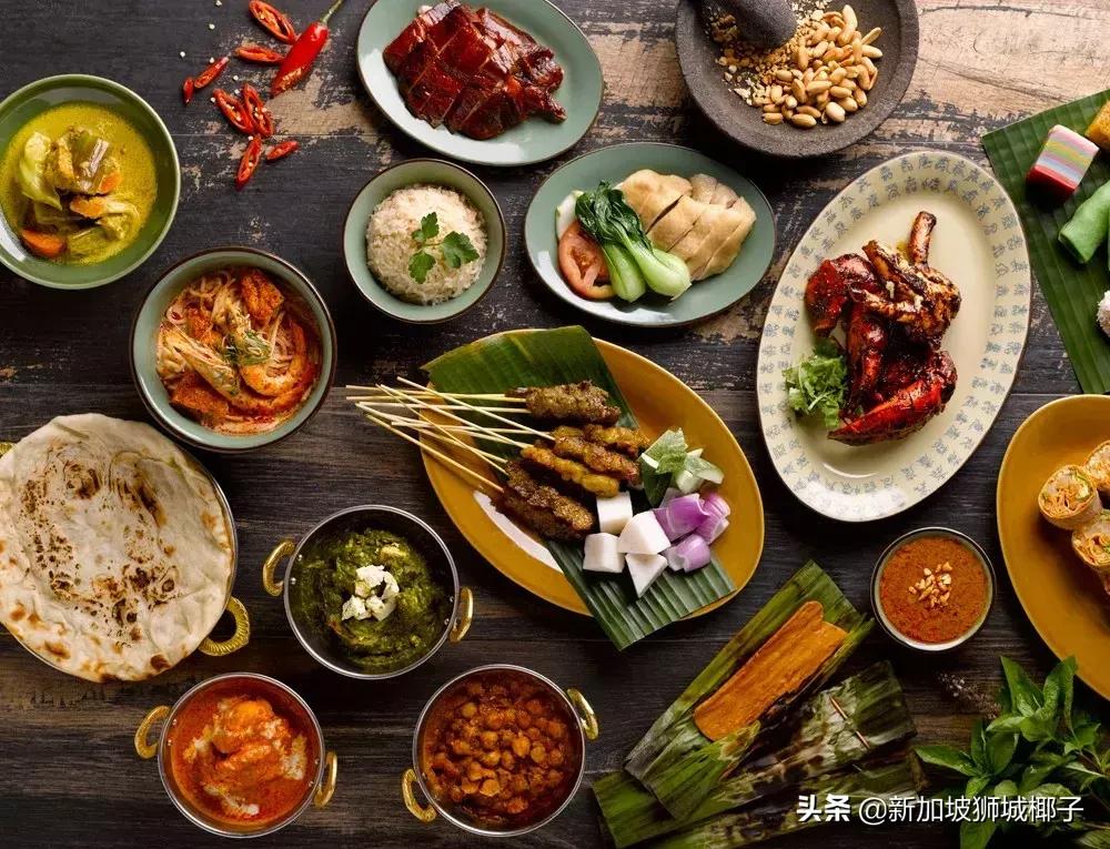 新加坡最贵的东西是什么,什么东西新加坡很便宜中国很贵