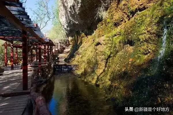 金秋游新疆全景图,喀什金秋风景