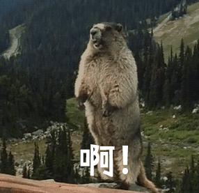 患者脚扭伤却检查心电图,脚踝扭伤医院要求拍心电图