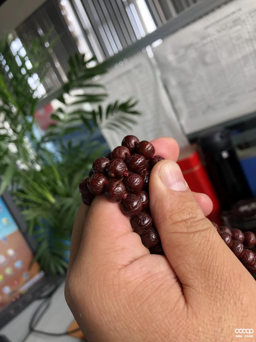 圈子人称“尿素手”！他玩凤眼，一年比我5年玩得还好