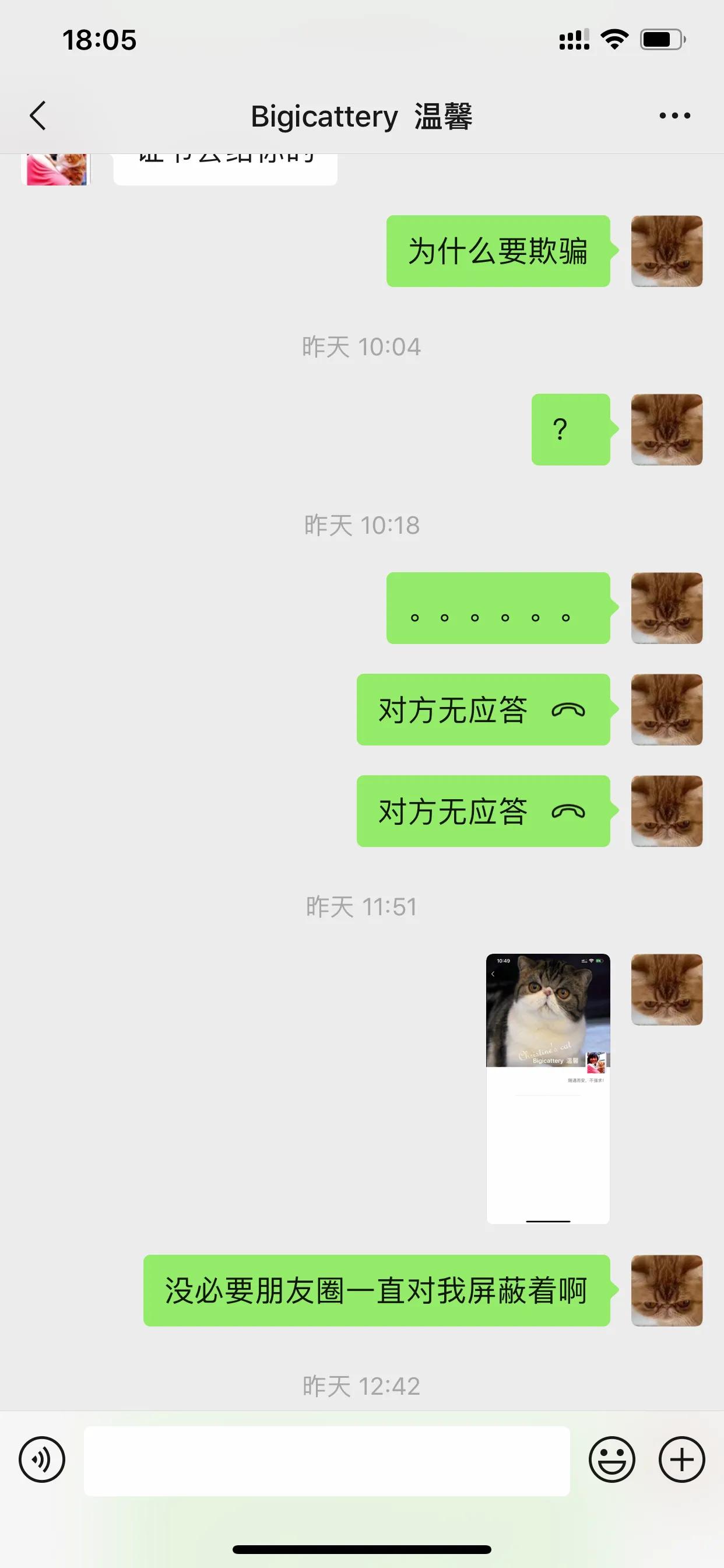 广州猫舍买英短猫,必读猫小屋家购猫流程