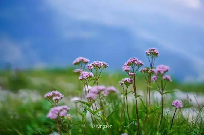 体验师徐凯德瑞意奥之旅（四）——走进中欧的童话国度