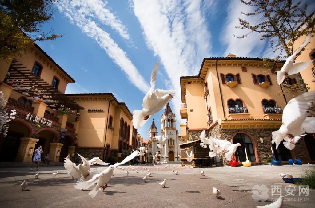 暑假带上神兽一起过来玩,暑假神兽去哪玩