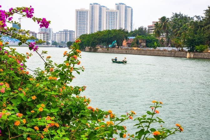 在这个阳光明媚的春季,在这个阳光灿烂的日子里