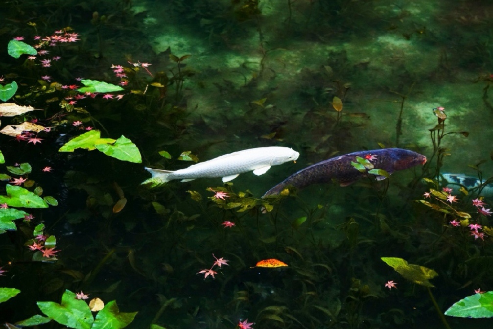 托福口语考试中的高频短语精选,雅思托福口语话题答题技巧