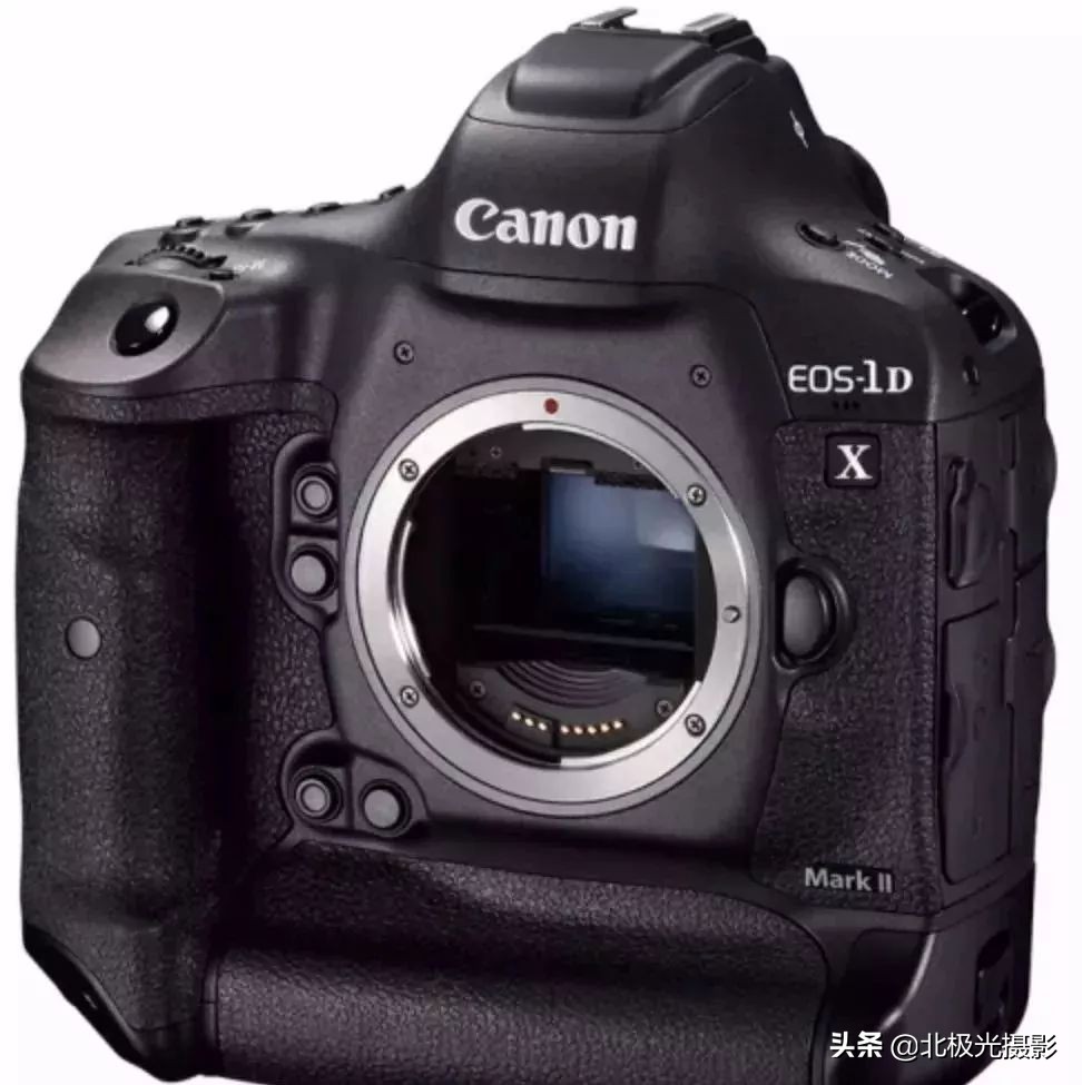 拍摄鸟类照片技巧,拍摄鸟儿照片技巧