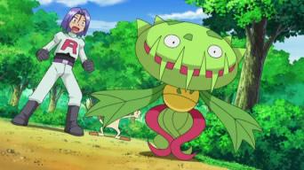 宝可梦特性荆棘领域,宝可梦尖牙龙