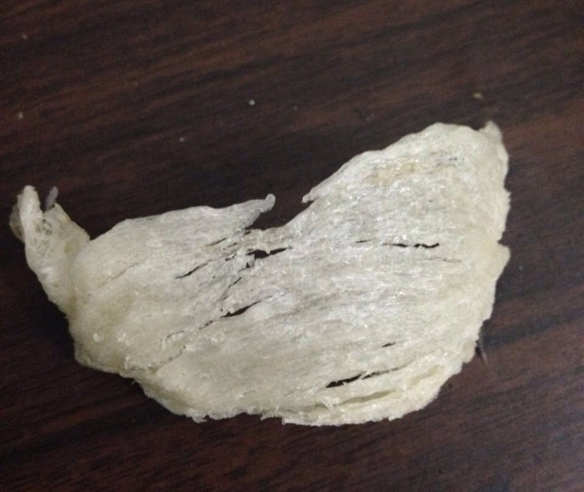 真假燕窝的快速鉴别方法,燕窝造假现场