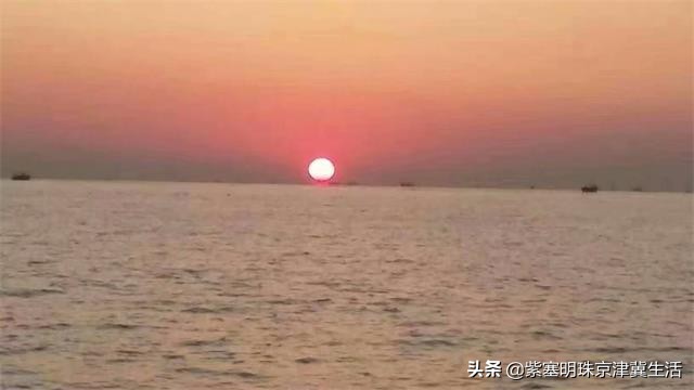 海边可以赶海吃住玩一体的农家院,秦皇岛黄金海岸牧海农家院