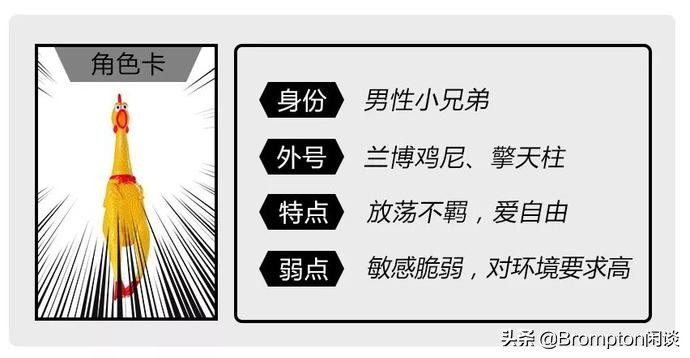 为什么女生平时要穿3角裤,女生为什么只能穿三角裤