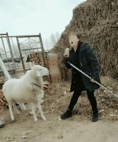 捡到了u盘里面会有什么,捡到一个u盘还好没有用