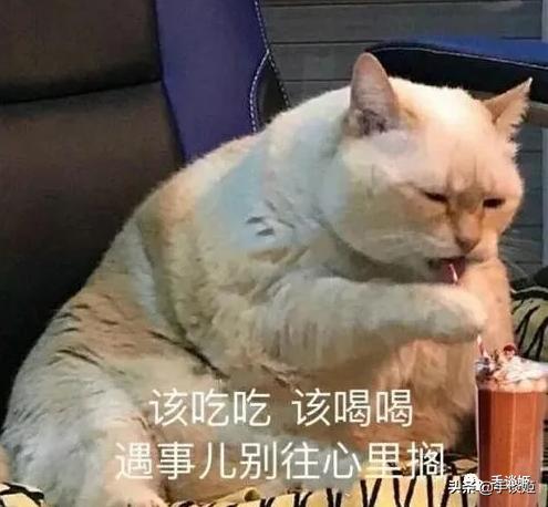 硬核生存游戏联机手游,和朋友联机的生存游戏手游