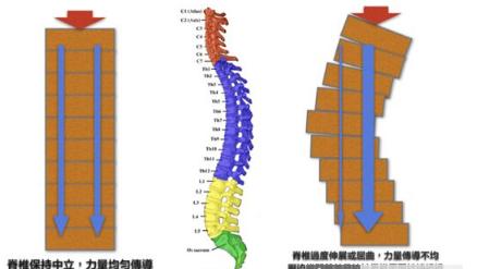 深蹲时腰背为什么要保持中立,深蹲后腰背紧绷