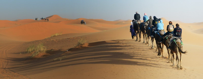 撒哈拉沙尘暴照片,撒哈拉沙漠沙尘暴实拍