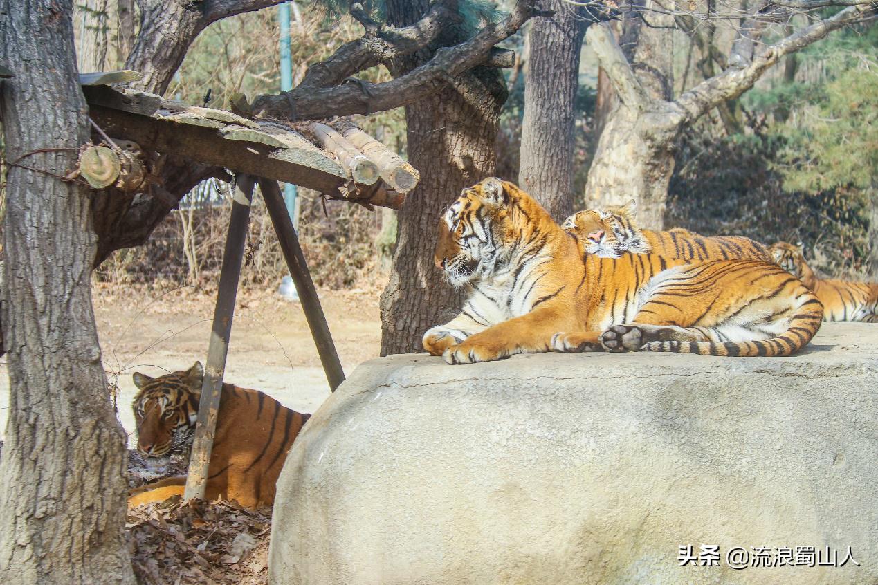 初见韩国歌曲,初见韩国电影