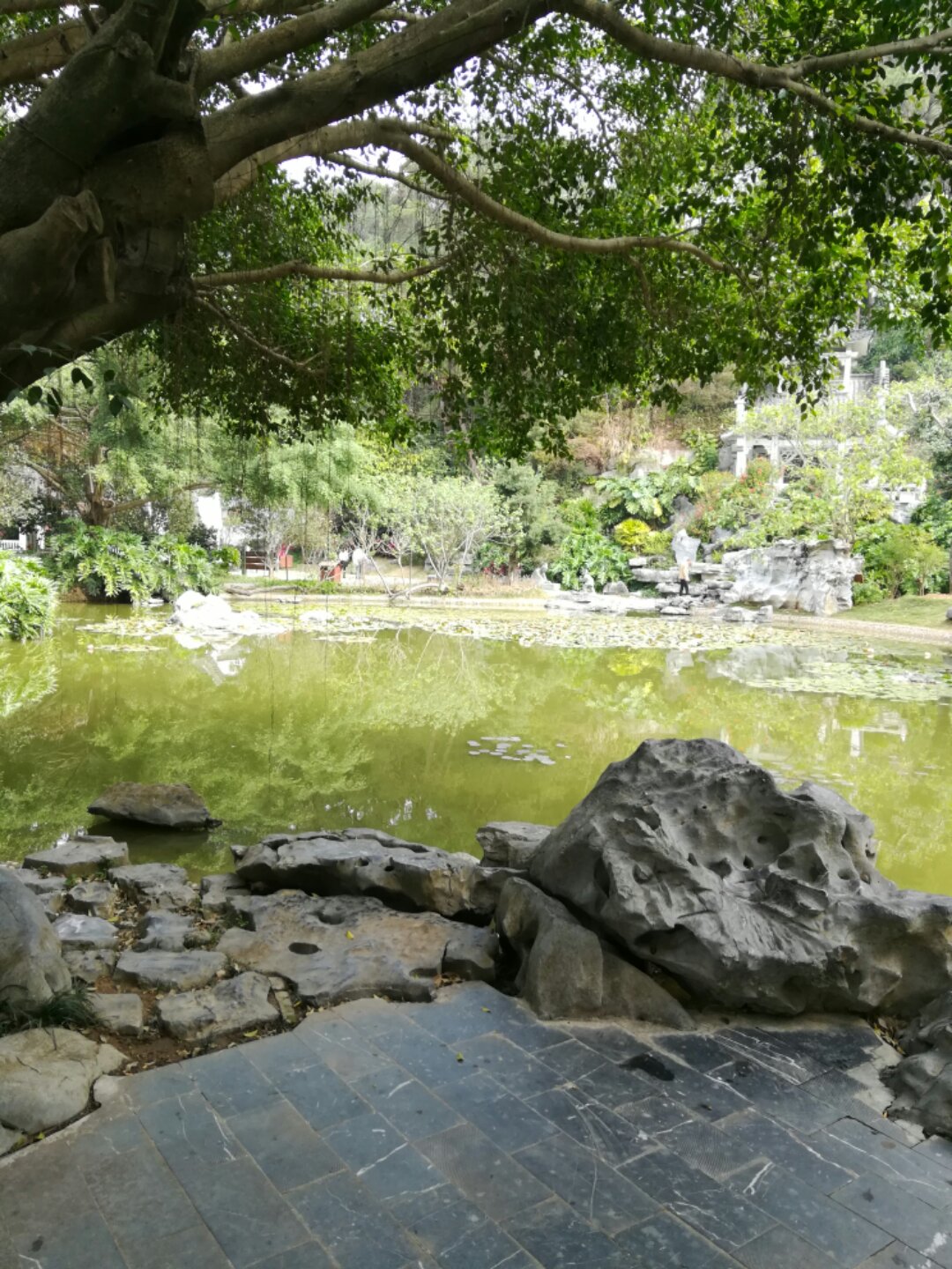 青秀山奇幻之旅,南宁2022奇妙之旅