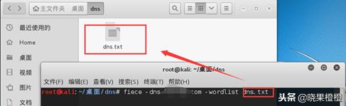 小白客带你走进黑客世界15kalilinux下的信息收集技术