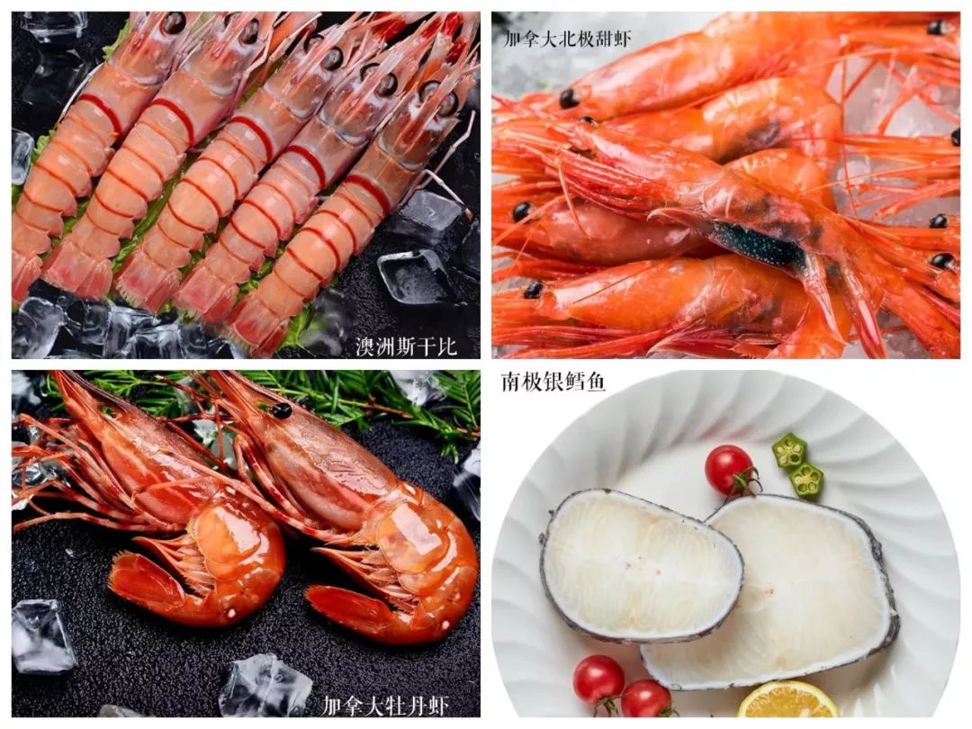 看了这40位生活美学家的创造，心顿时亮了！西安人年度最佳收藏贴