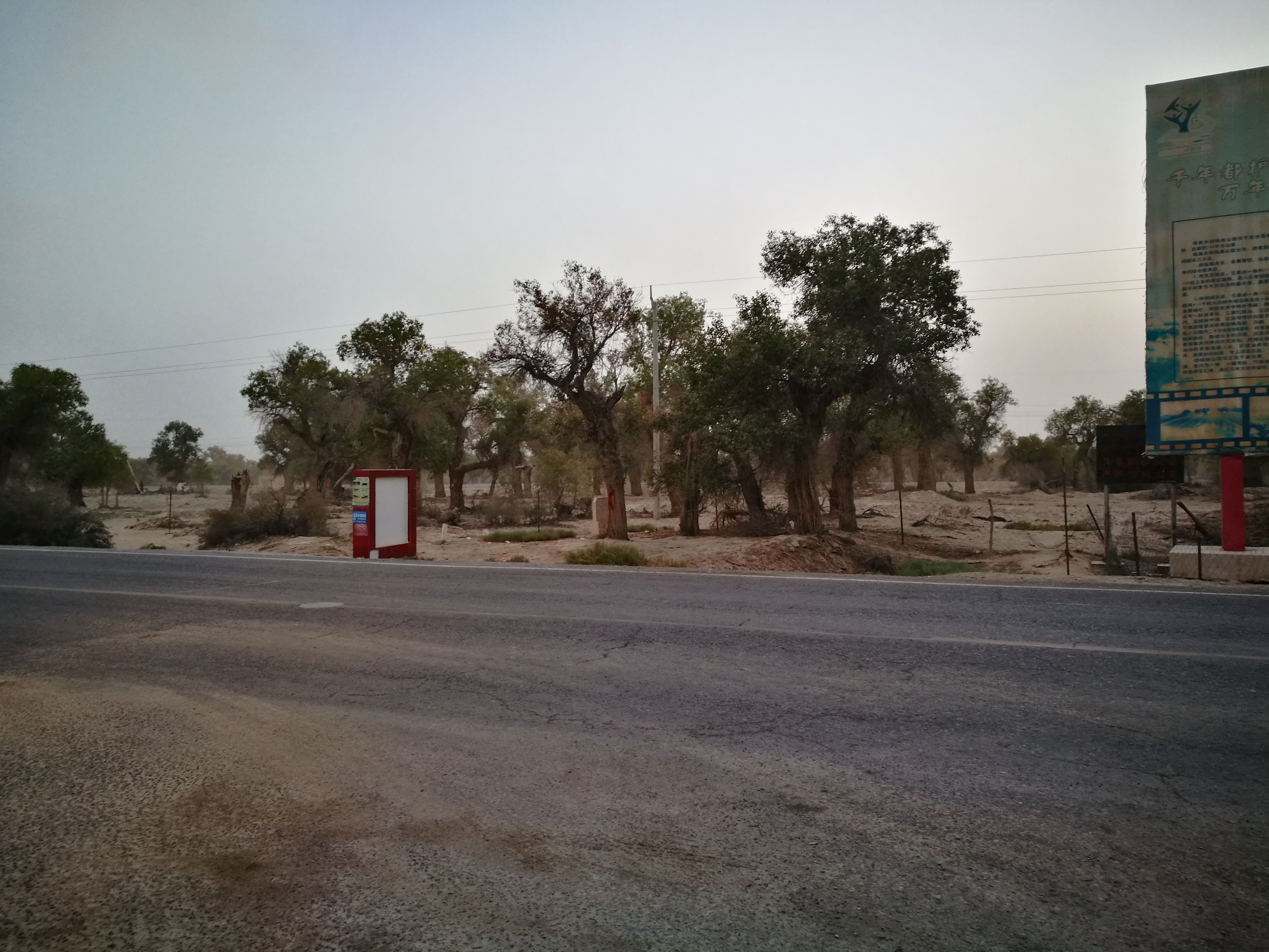 13000公里新手独驾*疆新**日记第23天——塔克拉玛干沙漠陷车自救