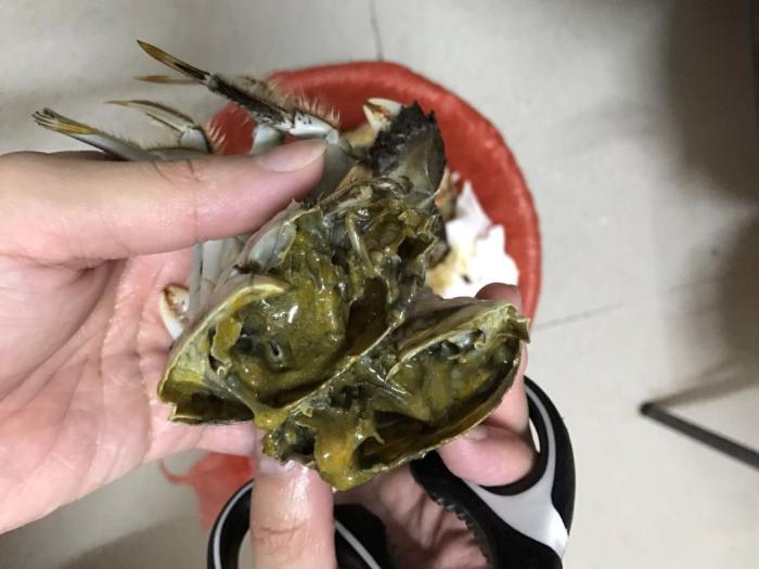 吃螃蟹禁忌那么多到底哪些是真的,吃螃蟹不要忘记哪四个部位
