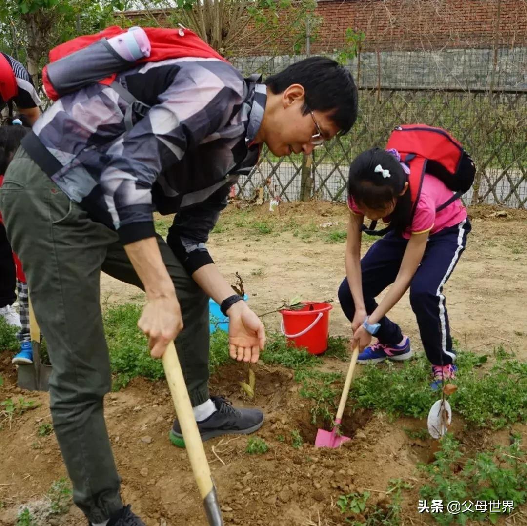 国内不太偏的亲子小众旅游 (全球最适合亲子游的十大旅游胜地)