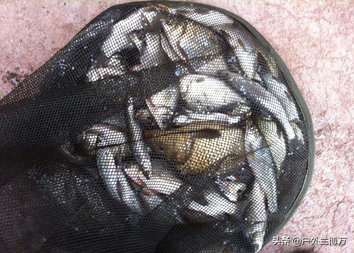 钓鱼鱼腥味怎么去除,钓鱼回来如何去除车内鱼腥味