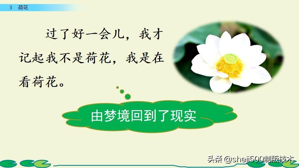 部编版三年级下册语文3荷花讲解,三年级下册部编语文荷花教学视频