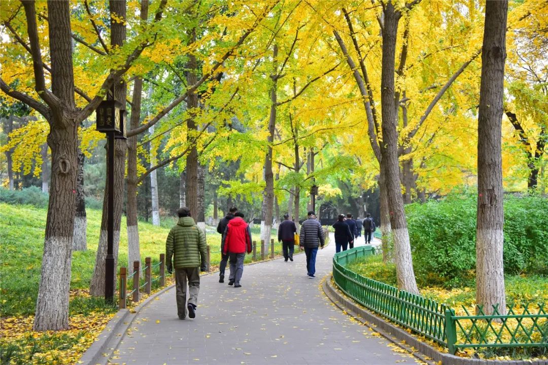 漫步西城|沿着千年时光的脉络，遇见广内~