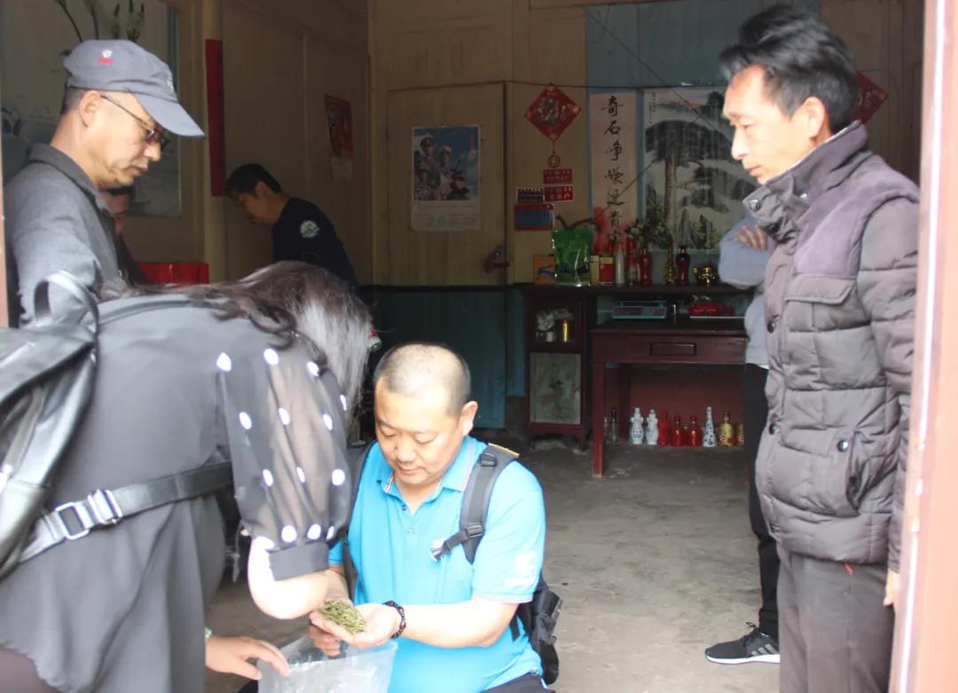 楂樺北鑼跺彾鍔╁姏鑴辫传瑙嗛,楂樺北鑼跺彾鍔╁姏鑴辫传