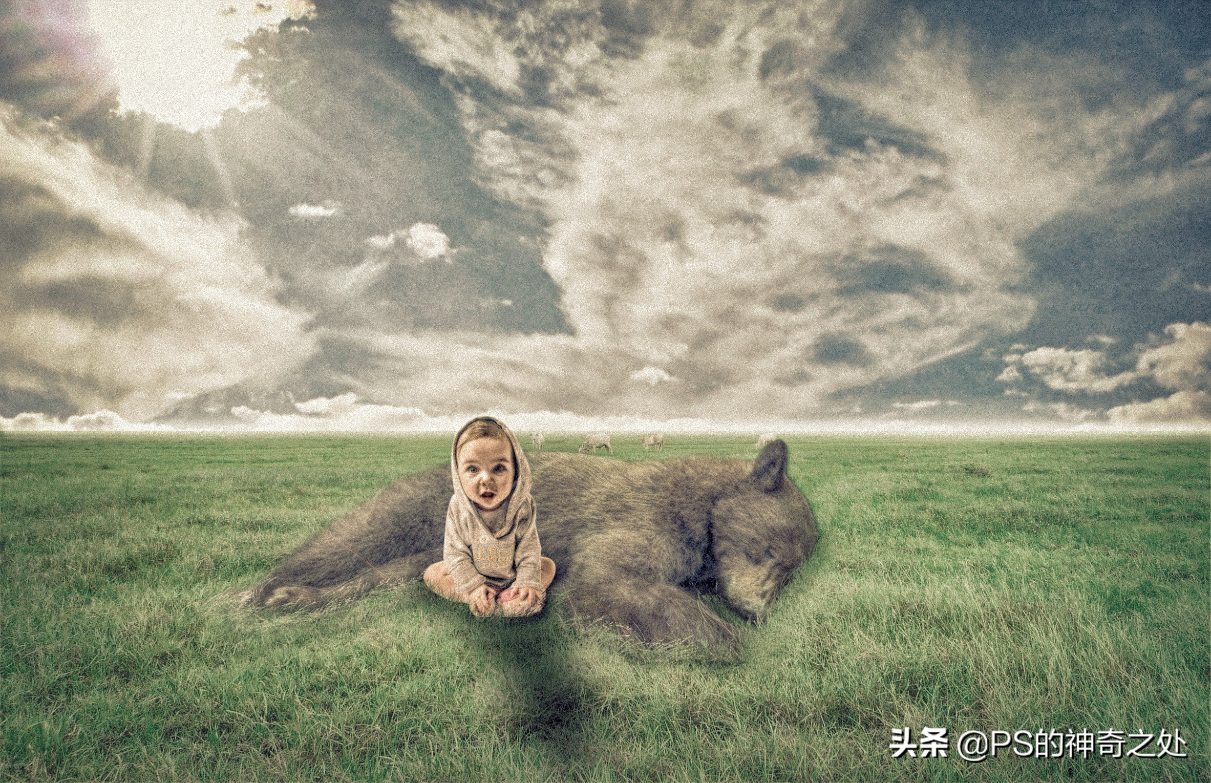 0基础学ps什么教程好,想学ps零基础学哪个好