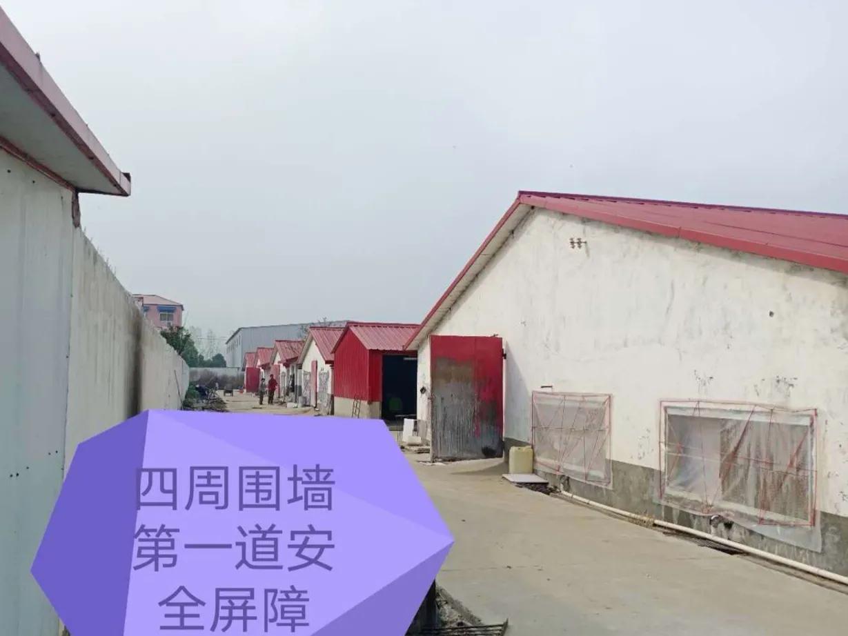 养殖业被垄断,生猪被垄断会是什么情况