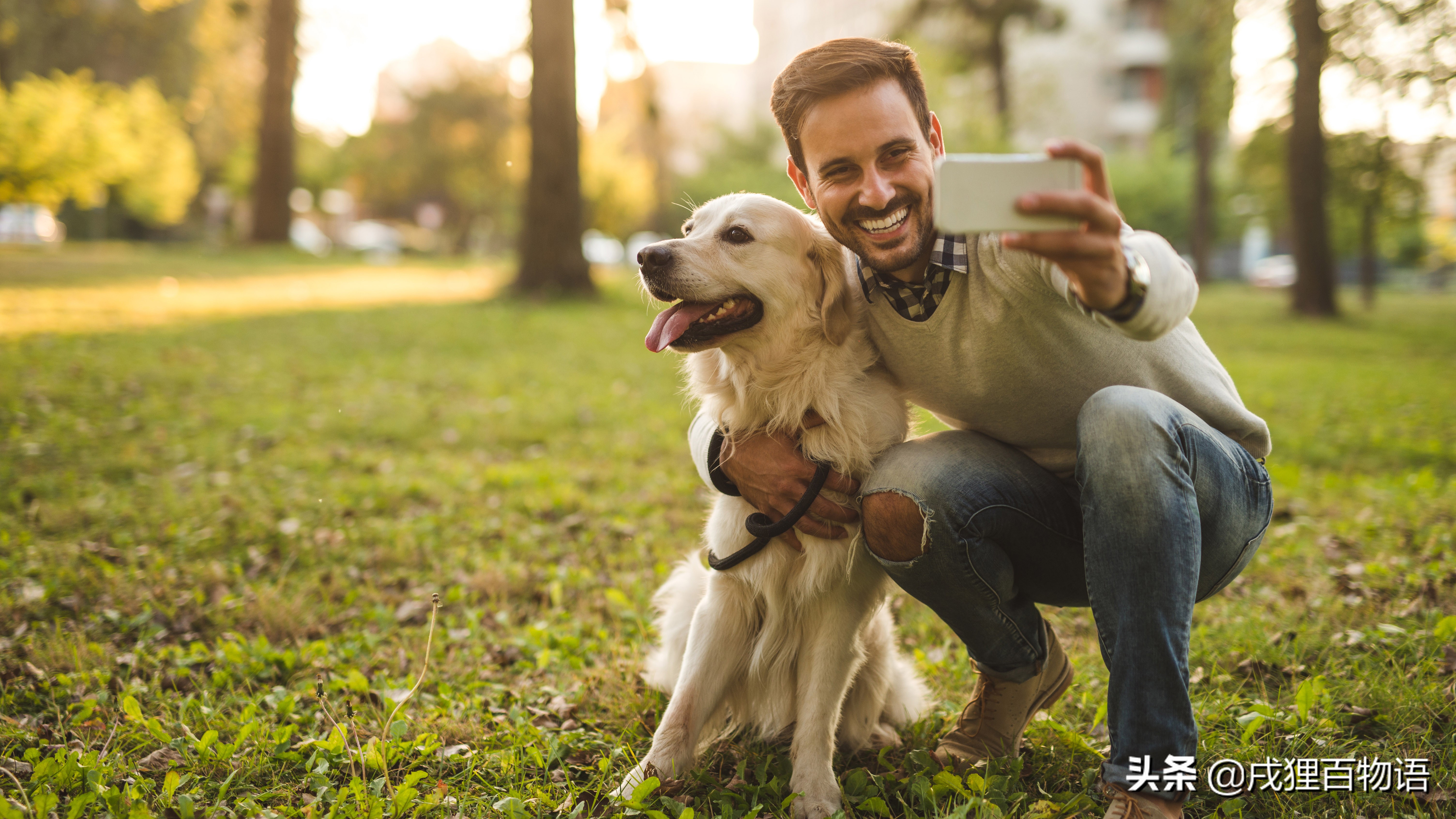 狗肘子毛磨没了还会长吗,狗啃肘子