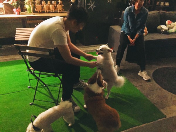 一个念头完整版,一个念头吉他