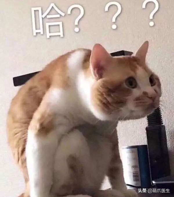 vans再次打造电影联名系列,vans老鼠联名