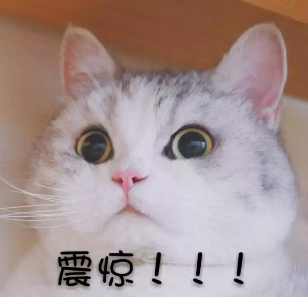 净网2019骗局揭秘,净网平台合法吗